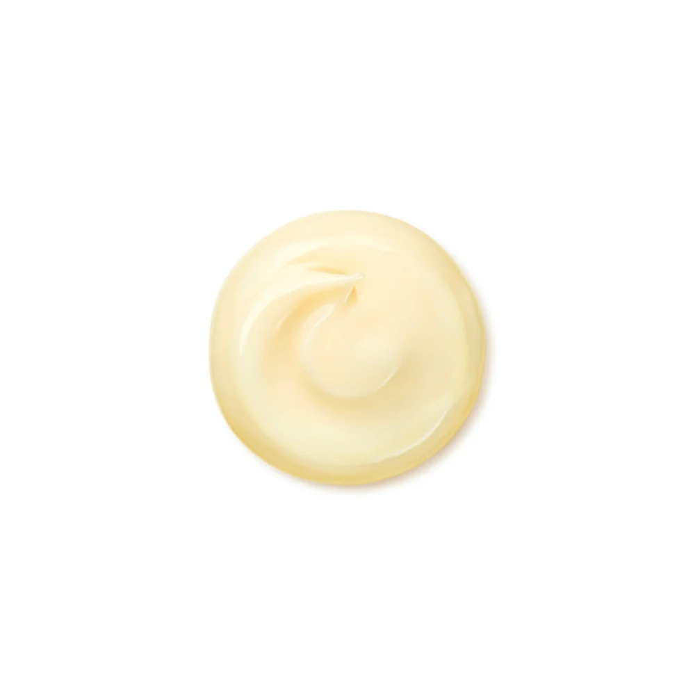 Shiseido BENEFIANCE Wrinkle Smoothing Cream Enriched 50 ml - Image 3