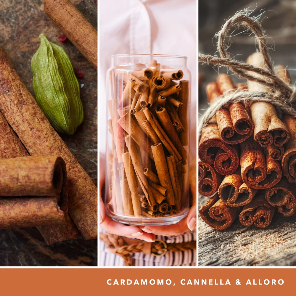 Yankee Candle Cinnamon Stick Signature Media mon Stick Signature - Image 3