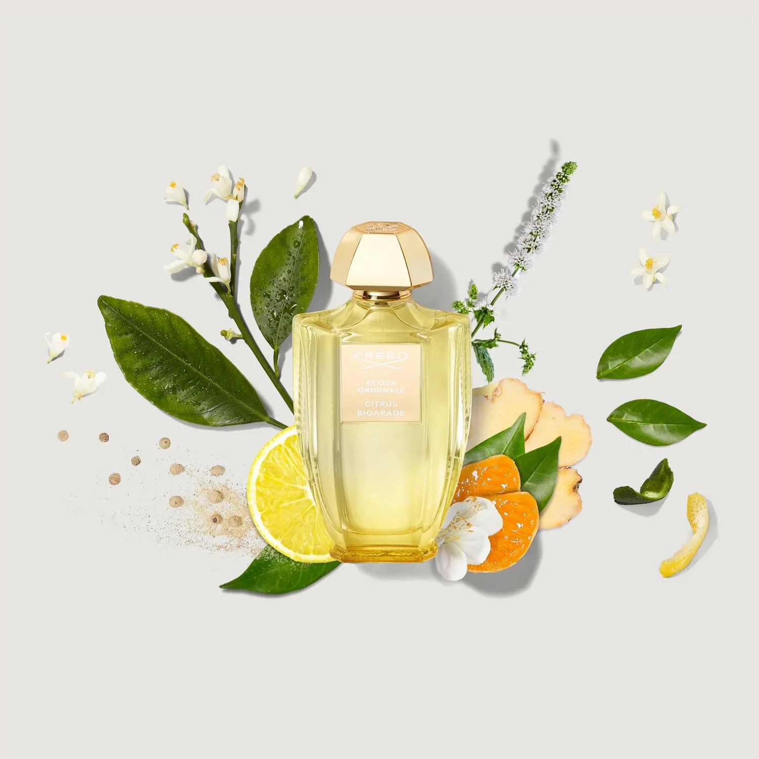 Creed Citrus Bigarade Acqua Originale 100 ml - Image 4