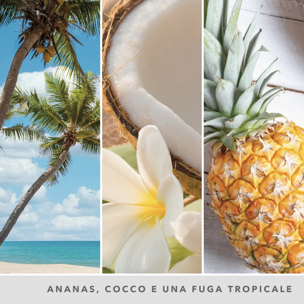 Yankee Candle Coconut Beach Signature Grande t Beach Signature - Image 4