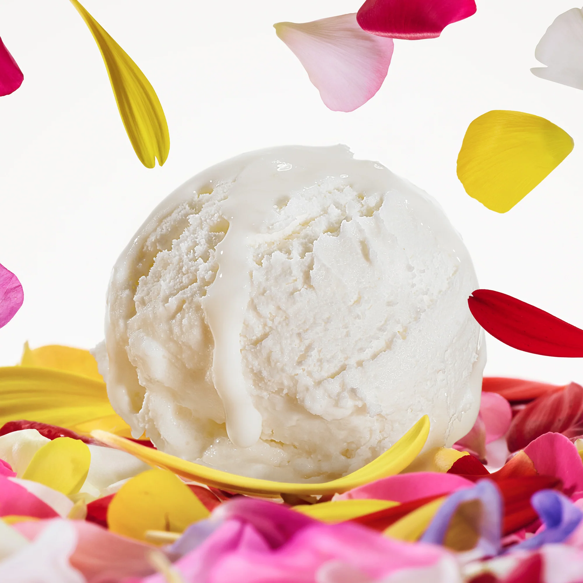 DOLCE&GABBANA Dolce Magnolia 50 ml - Image 6