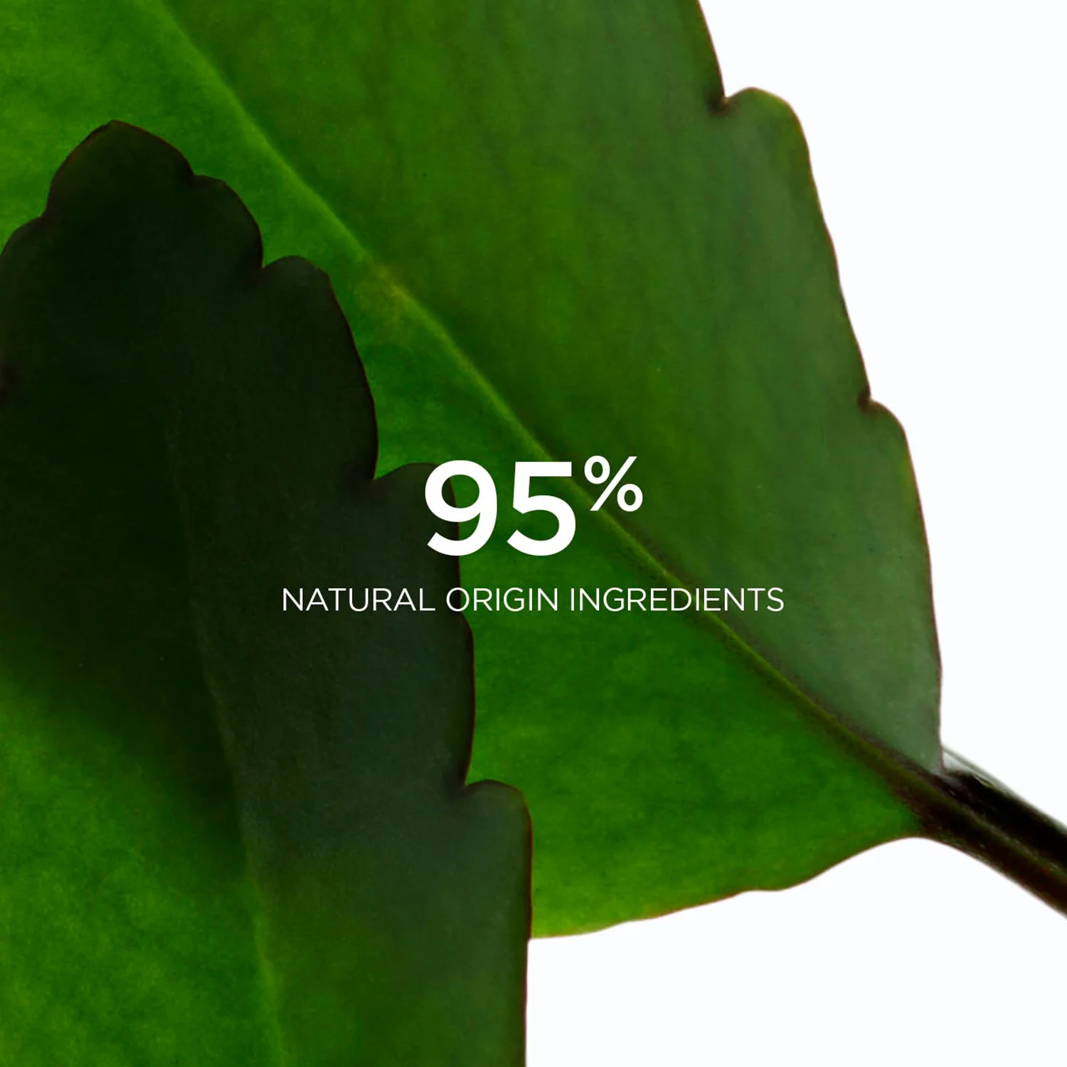Clarins Fresh Scrub 50 ml - Image 6