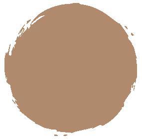 Shiseido FUTURE SOLUTION LX Total Radiance Foundation Neutral 2 - Image 2