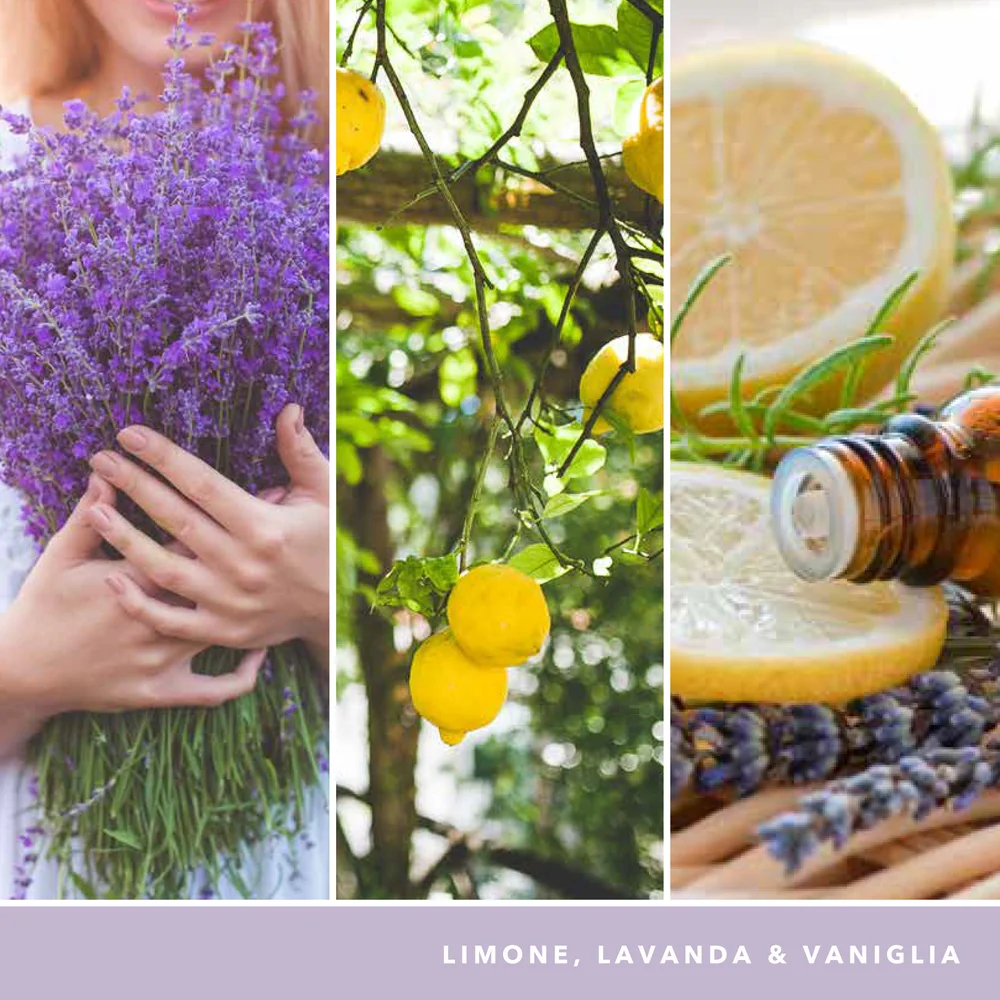 Yankee Candle Lemon Lavender Signature Media Lavender Signature - Image 3
