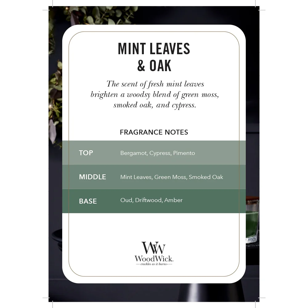 Woodwick Mint Leaves & Oak Media Leaves & Oak - Image 2