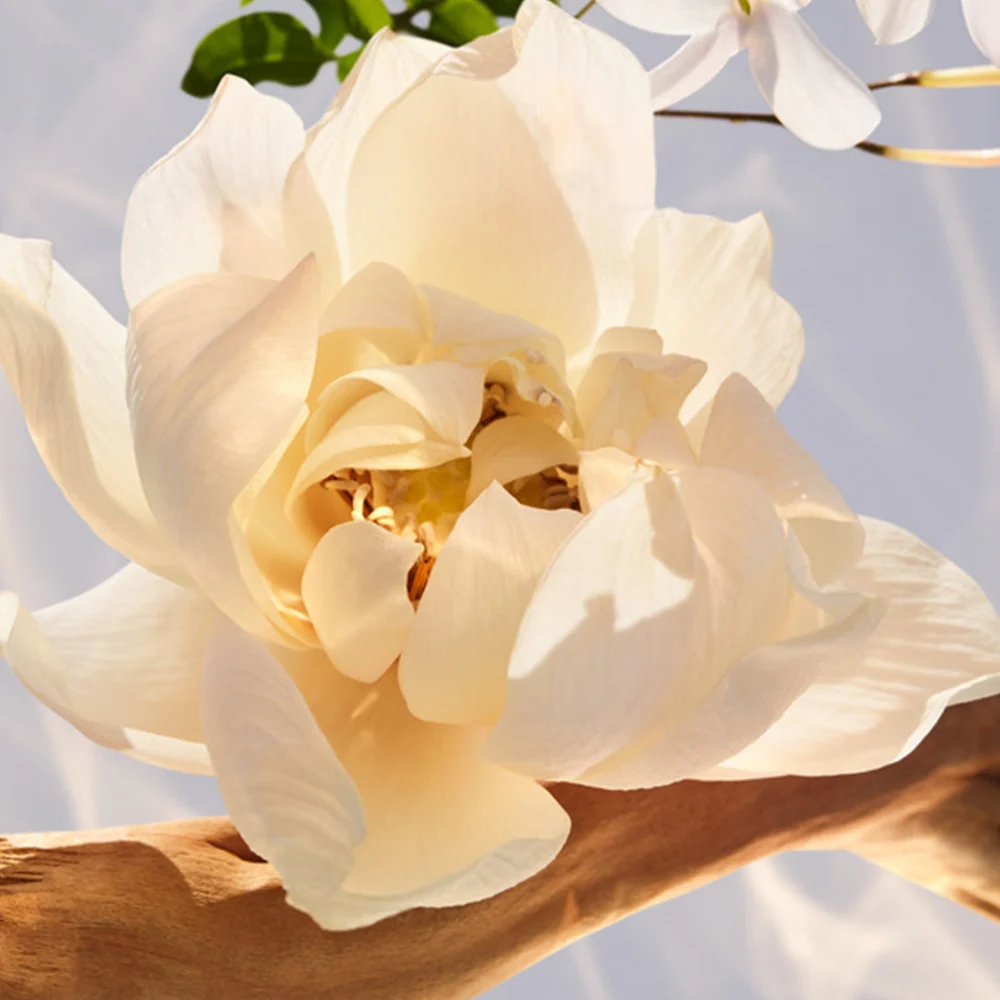 Bulgari Omnia Crystalline 50 ml - Image 3