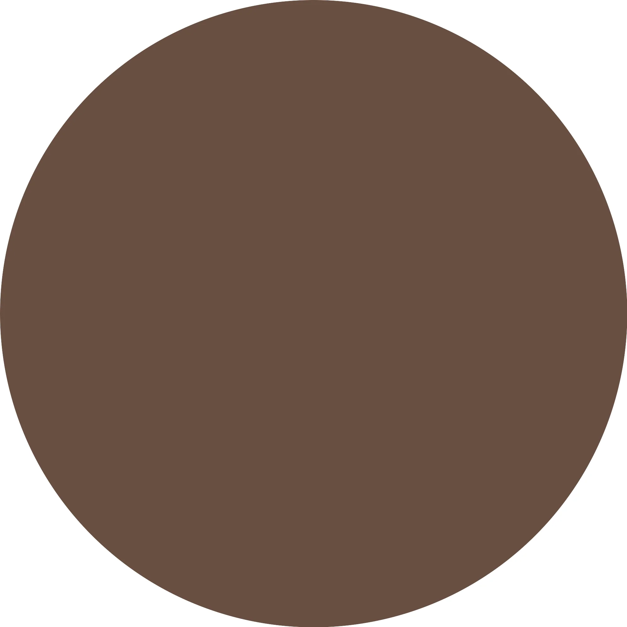 Catrice Plumping Lip Liner 170 Chocolate Lover - Image 3