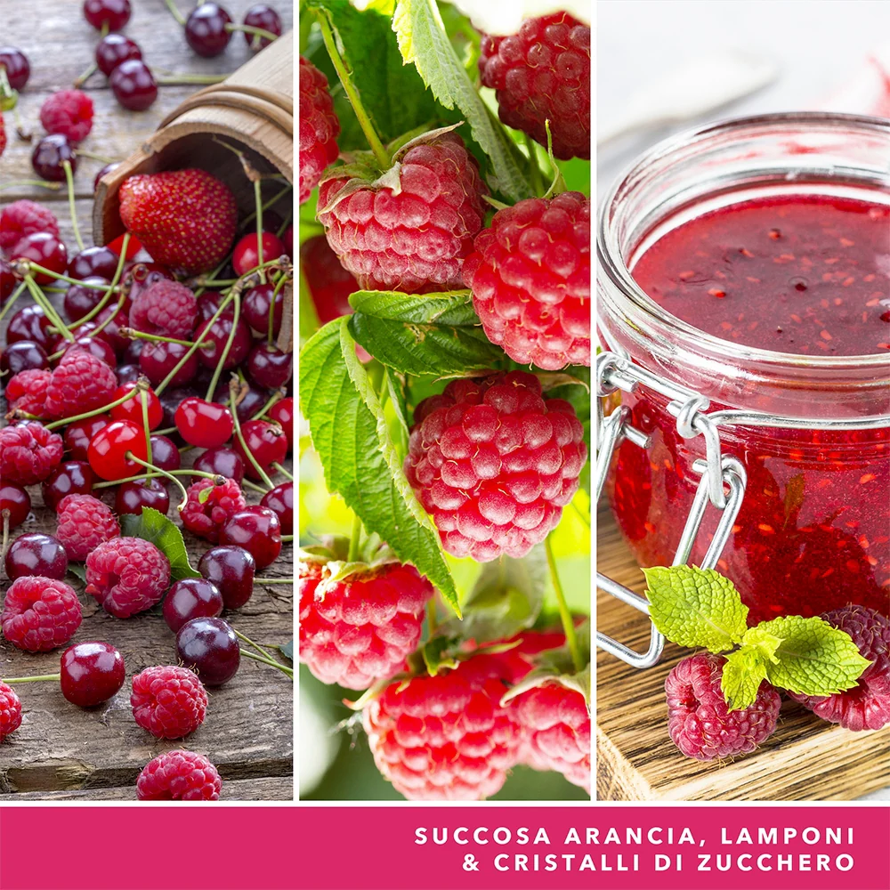 Yankee Candle Red Raspberry Signature Grande spberry Signature - Image 4