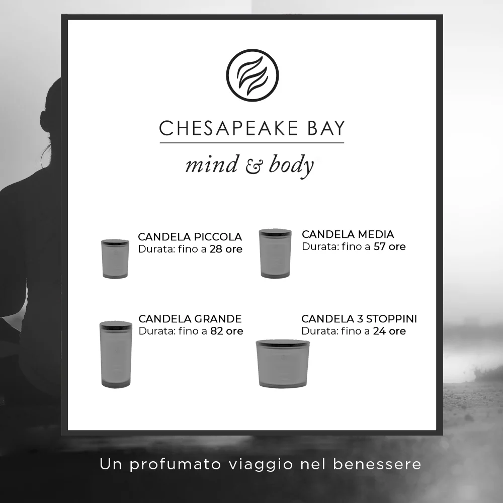 Chesapeake Bay Candle Strength & Energy (Pineapple Coconut) 3 stoppini Energy (Pineapple Coconut) - Image 4