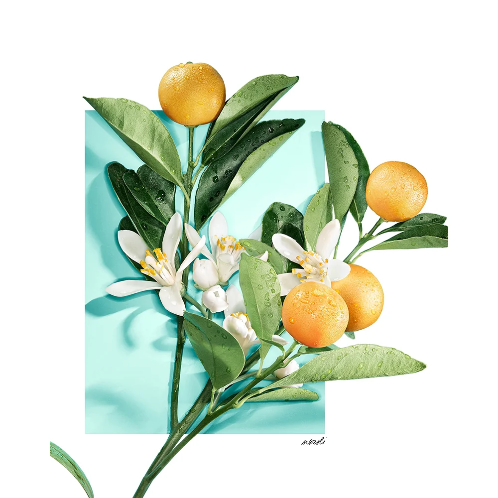 Tiffany & Co. Tiffany & Love for Her 50 ml - Image 7