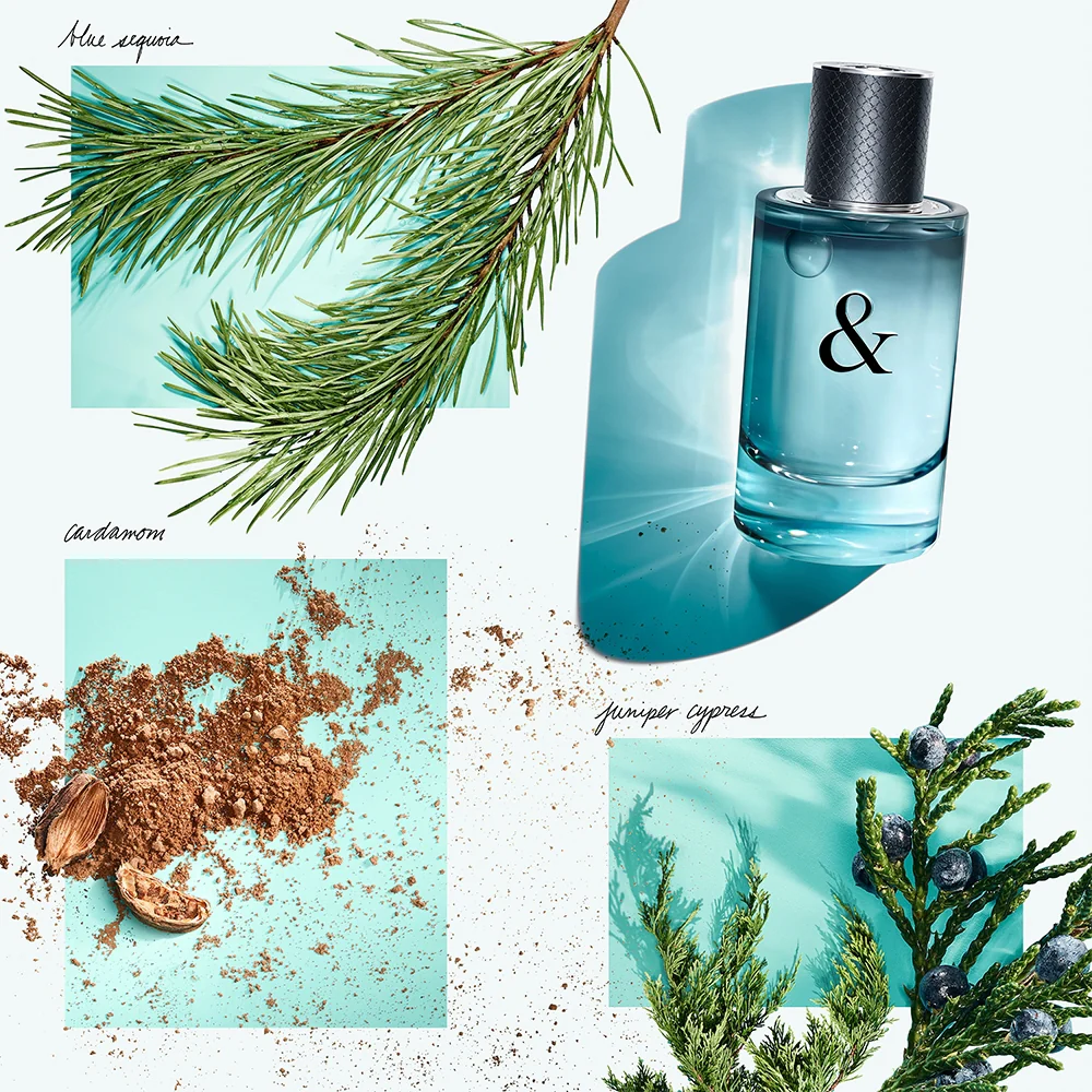 Tiffany & Co. Tiffany & Love for Him 90 ml - Image 4
