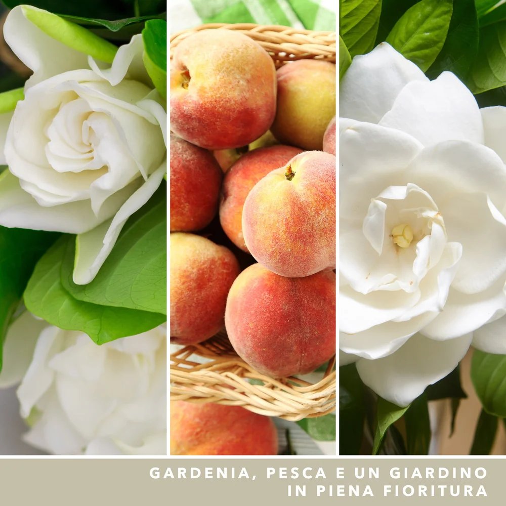 Yankee Candle White Gardenia Signature Media  Gardenia Signature - Image 3