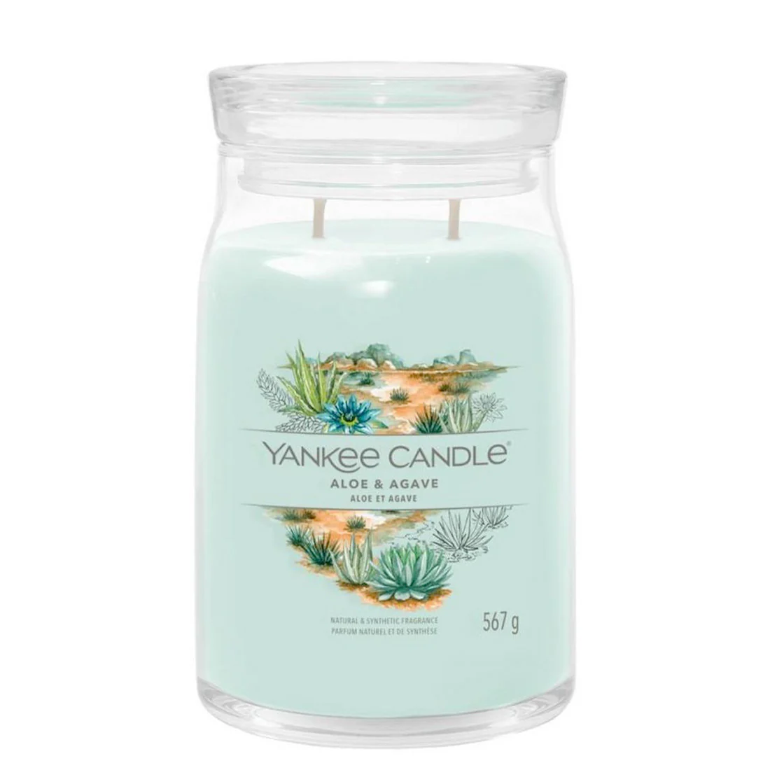 YANKEE CANDLE Signature Giara Aloe & Agave  567 g